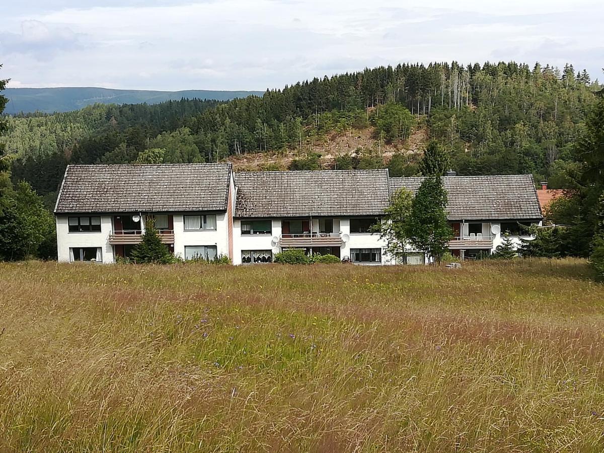 Ferienwohnung Am Kunstberg 29 Altenau  Exterior photo